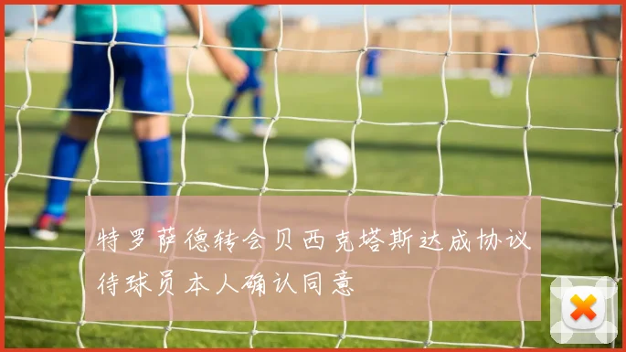 特罗萨德转会贝西克塔斯达成协议待球员本人确认同意