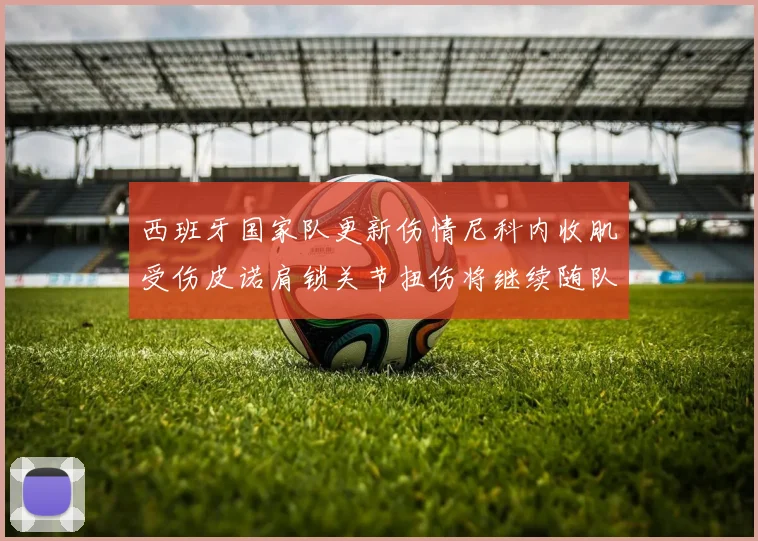 西班牙国家队更新伤情尼科内收肌受伤皮诺肩锁关节扭伤将继续随队训练